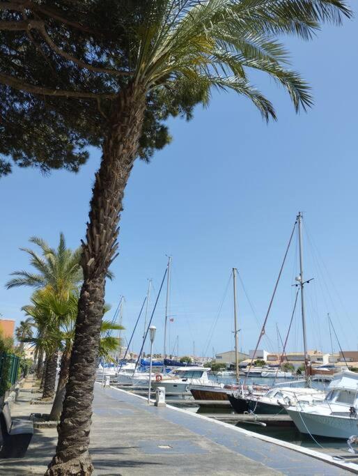 Studio 4 Couchages Avec Piscine D'Ete Vue Port Agde Buitenkant foto