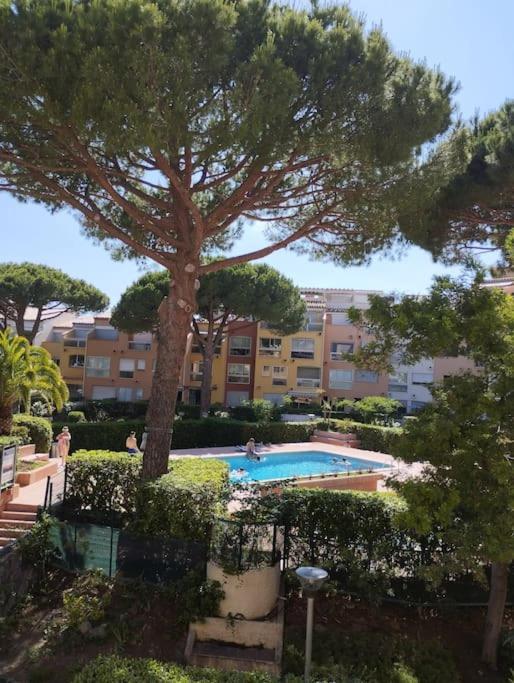 Studio 4 Couchages Avec Piscine D'Ete Vue Port Agde Buitenkant foto